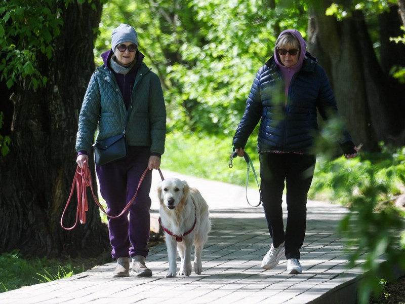Zwei Frauen auf einem Weg im Wald mit einem Hund