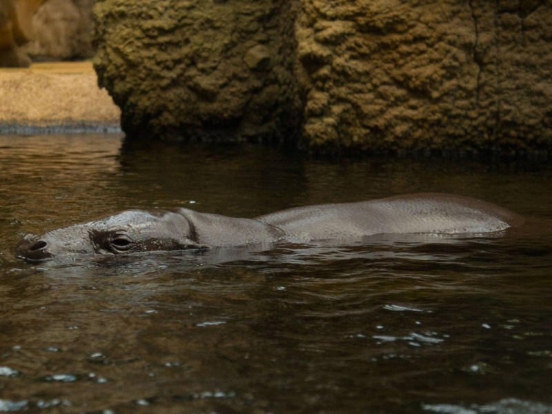 zoo leipzig