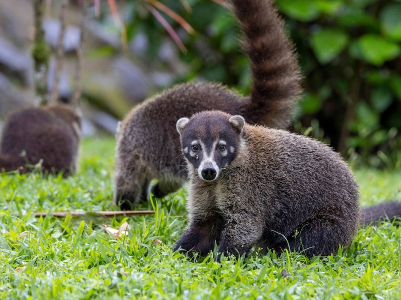 Zoo Leipzig