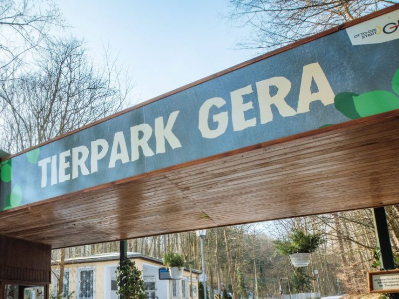 Tierpark Gera: Besucher-Verhalten bringt Tiere in Gefahr! „Sind dran gestorben“
