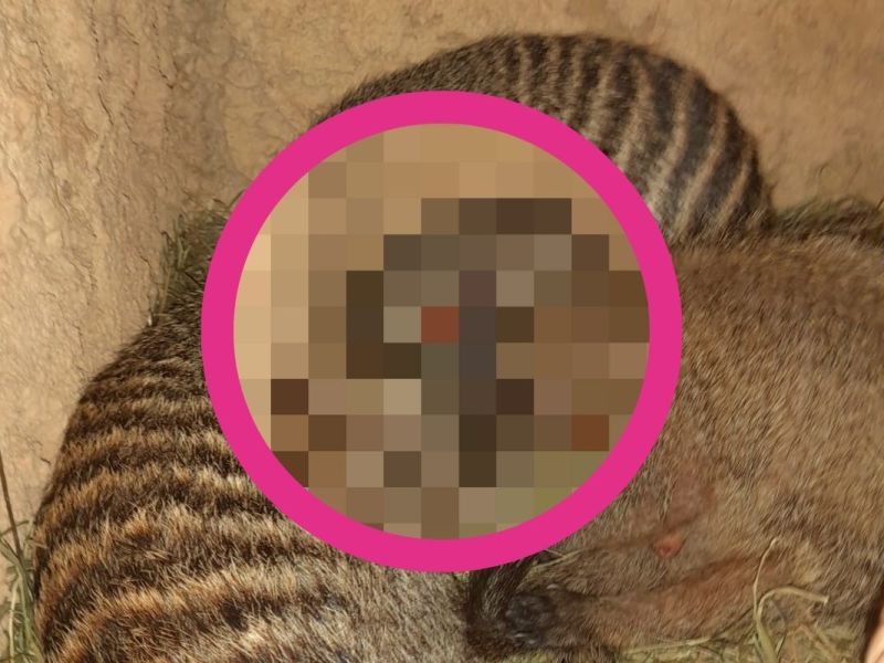 zoo-erfurt