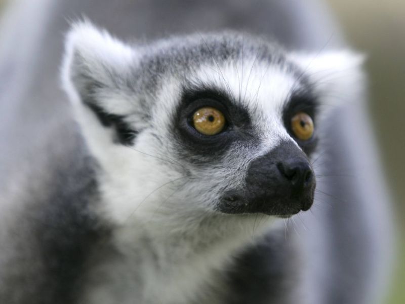 zoo-erfurt