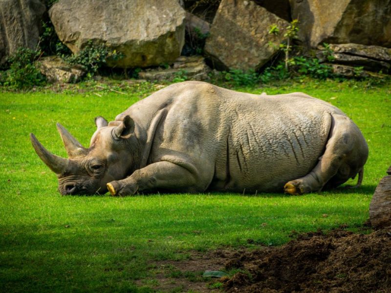 zoo-leipzig
