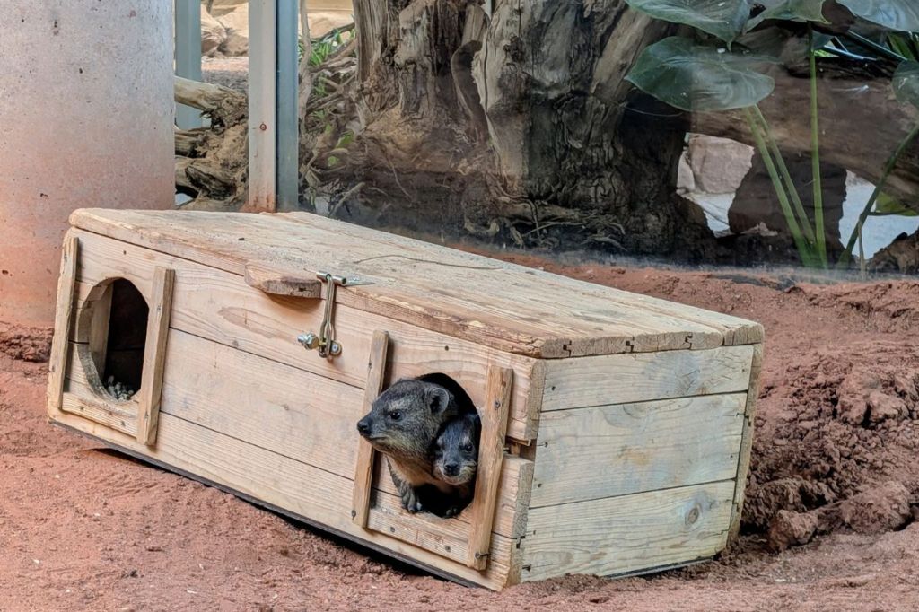zoo-erfurt