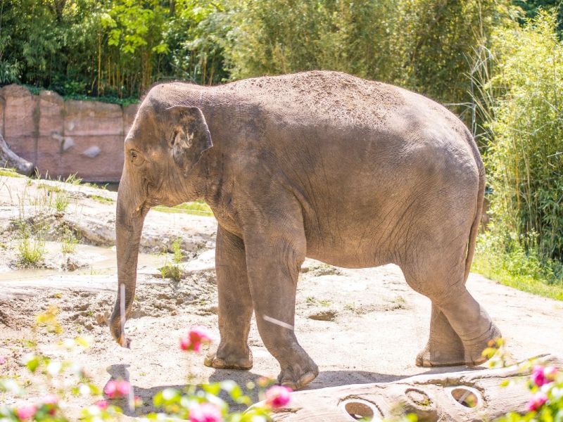 zoo-leipzig