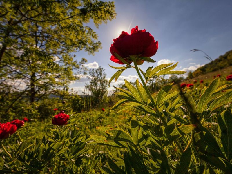 wetter-thueringen