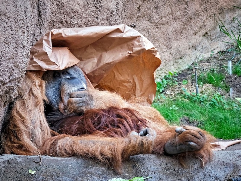Zoo Leipzig