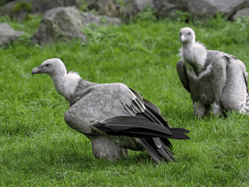 Zoo Leipzig