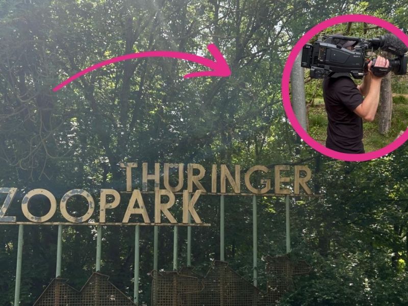 Zoo Erfurt: Plötzlich sind überall Kameras! DAS steckt dahinter