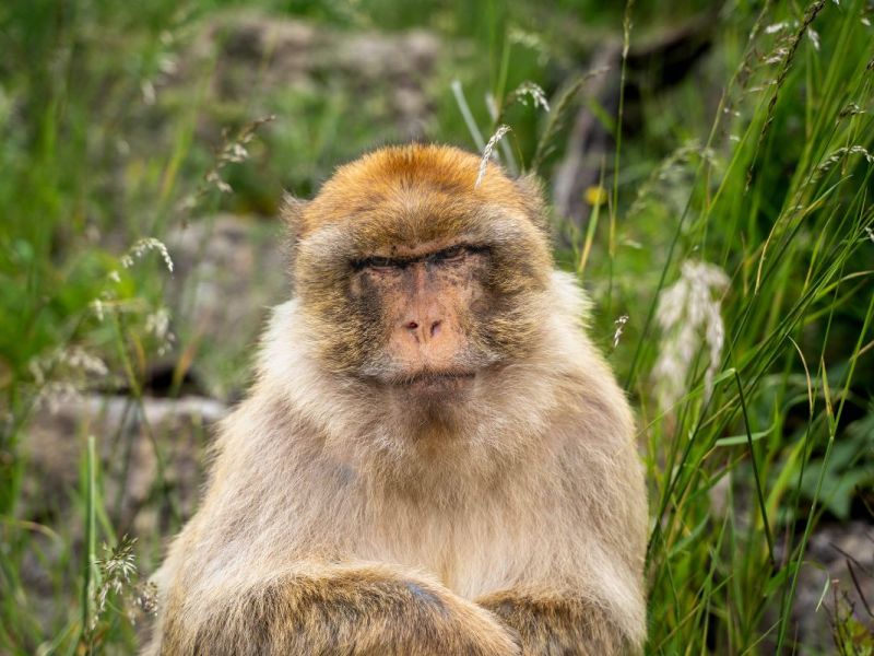 zoo-erfurt