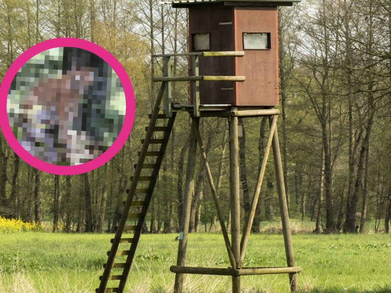 Thüringen: „So viele hatten wir noch nie!“ Tierschützer trauen ihren Augen kaum