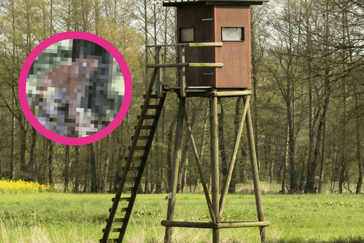 Luchs Thüringen