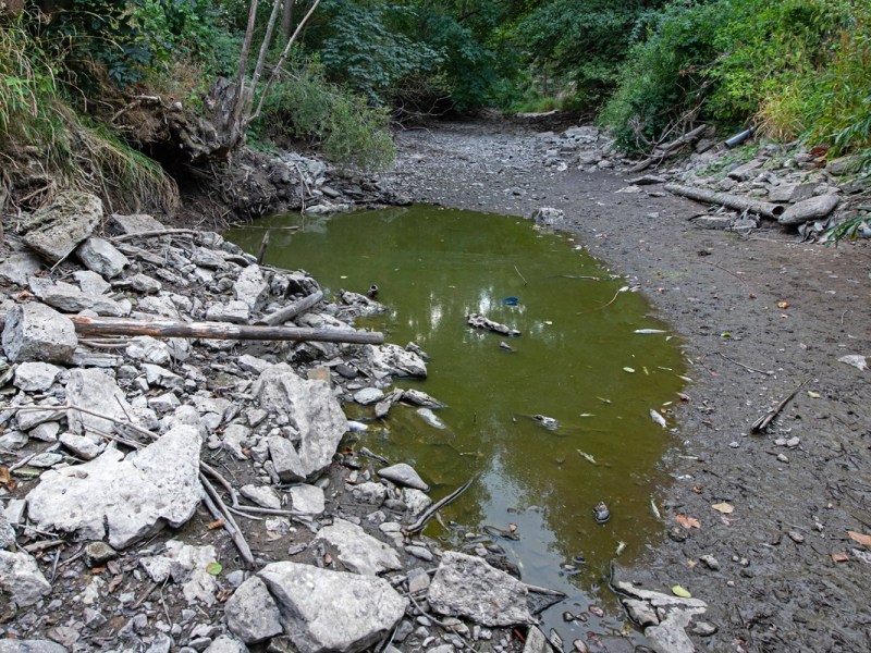 Geht Thüringen das Wasser aus? Experte macht klare Ansage