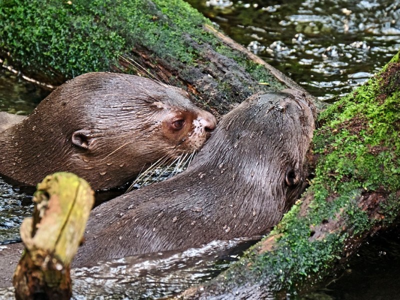 zoo leipzig